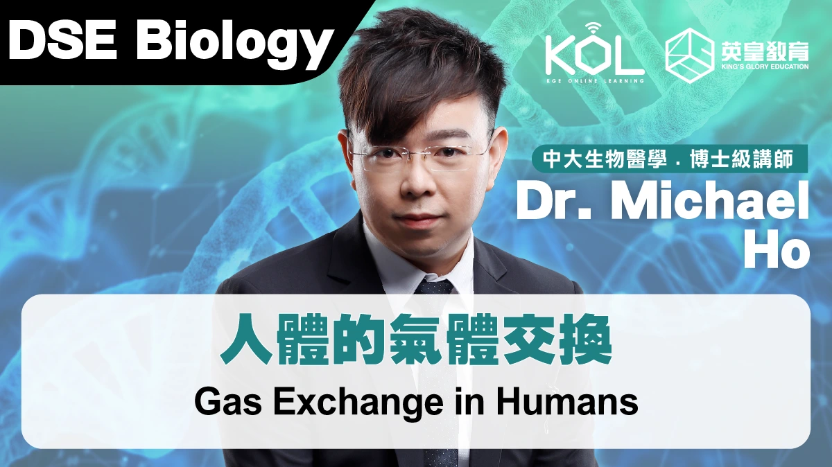 DSE Biology - Gas Exchange in Humans 人體的氣體交換