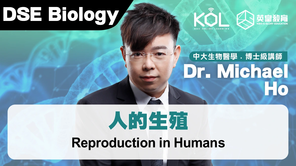 DSE Biology - Reproduction in Humans 人的生殖