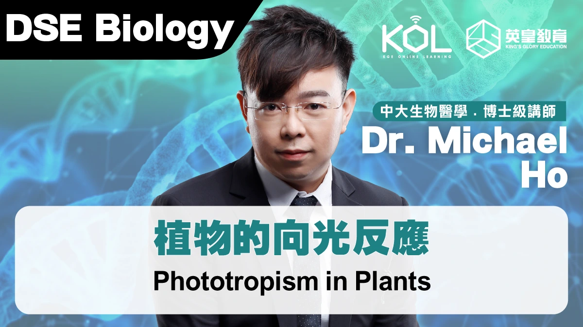 DSE Biology - Phototropism in Plants 植物的向光反應