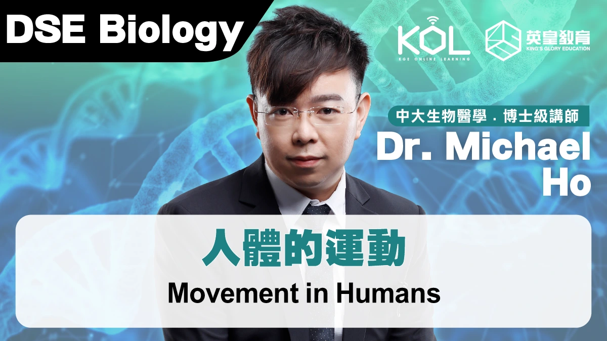 DSE Biology - Movement in Humans 人體的運動